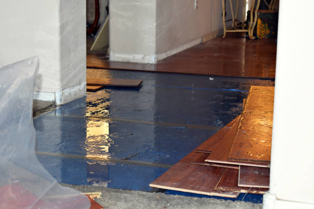Professional Burst Pipe Cleanup technician working in Olney, TX
